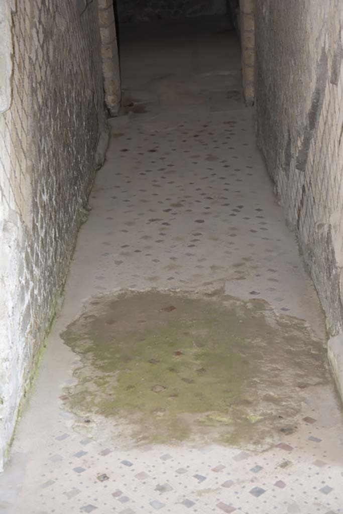 Villa dei Papiri, March 2019. 
Corridor h, looking north towards doorway into east ala ( e), across flooring mosaics in opus tessellatum (woven style).
Foto Annette Haug, ERC Grant 681269 DÉCOR.


