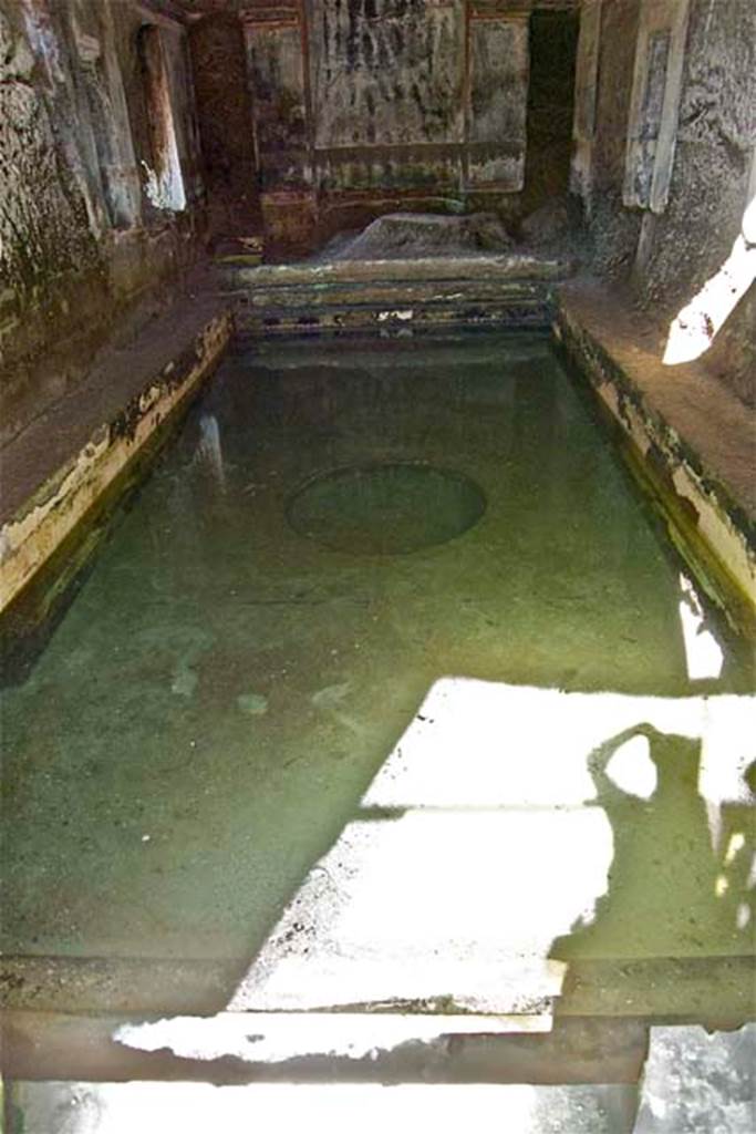 South-western baths, Herculaneum. July 2010. Pool viewed from the steps at the south end.
Photo courtesy of Michael Binns.