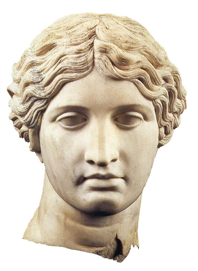 Villa dei Papiri, Herculaneum. Head of an Amazon, found in April 1997, in the collapsed monumental structure.