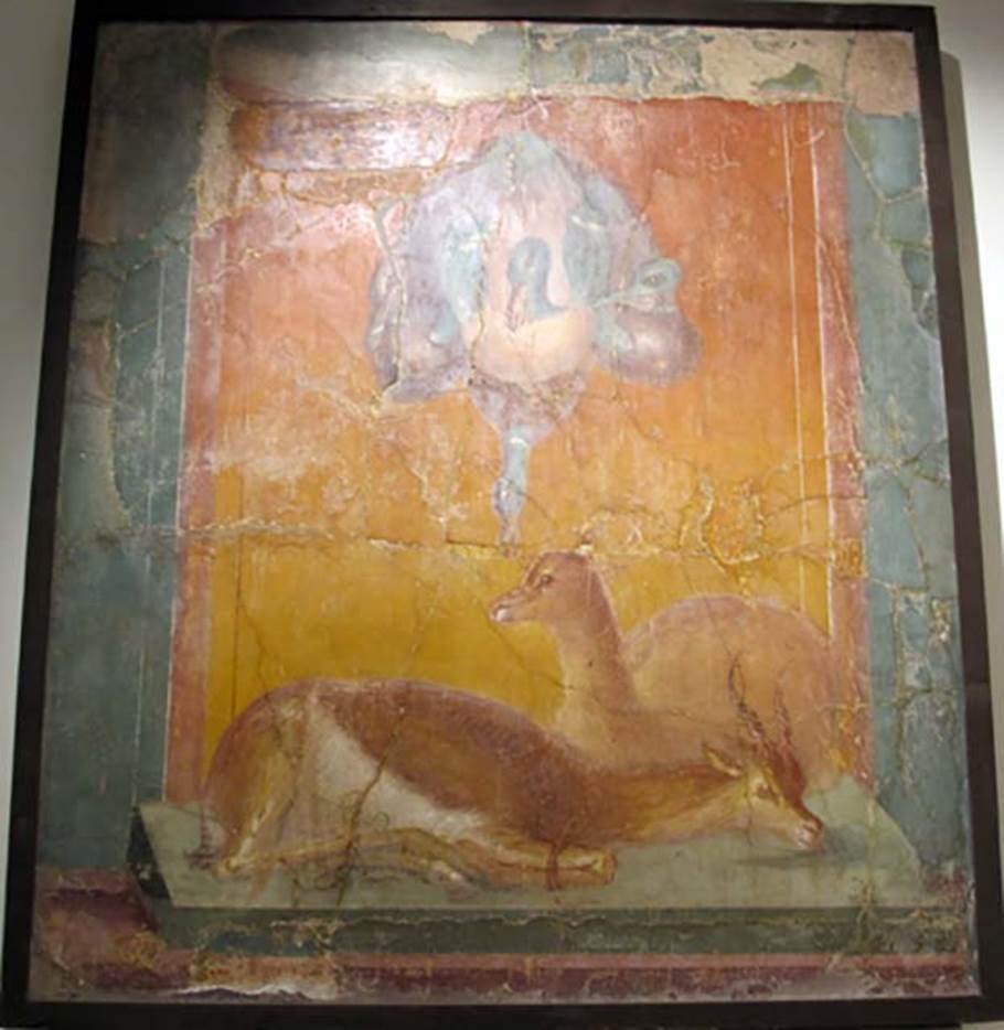 Villa dei Papiri, Herculaneum. Found 16th June 1764. Atrium (c). Fresco of several ducks hanging and two roe deer sitting.
Now in Naples Archaeological Museum. Inventory number 8759.
In the upper part of the wall are four suspended ducks, with tied legs, three of which are still live, with their heads raised, the fourth, now dead, with a dangling head. On a green shelf are depicted two roe deer, legs tied with a red string.
See Esposito D., 2010. Le pitture della Villa dei Papiri ad Ercolano in La Villa Romaine de Boscoreale et ses Fresques. édicions errance: Musée royal de Mariemont. p. 212, fig. 2.