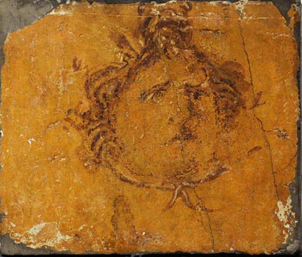 Villa dei Papiri, Herculaneum. Fresco of Medusa head.
Now in Naples Archaeological Museum. Inventory number 8821C.