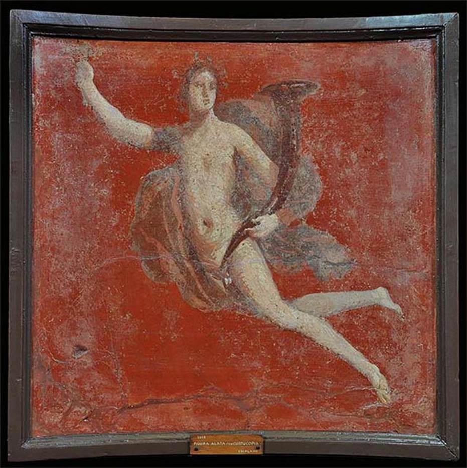 Herculaneum Augusteum. Male Genius in flight holding a cornucopia.
Now in Naples Archaeological Museum. Inventory number 8828.
