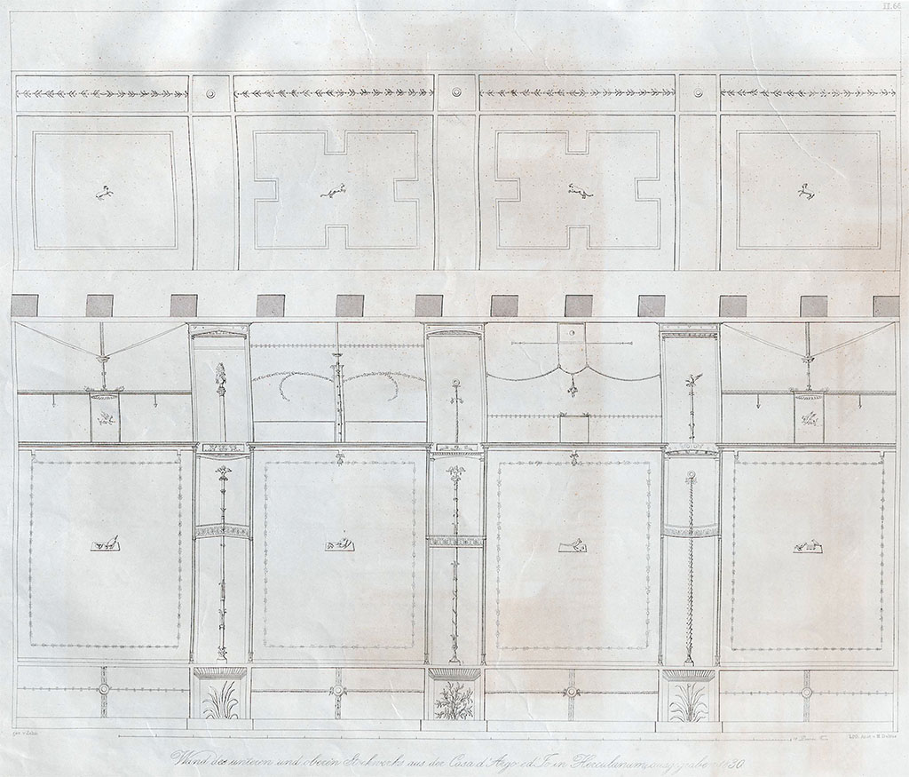 II.2 Herculaneum, 1842, drawing by Zahn. Wall of large peristyle/garden on the opposite side from the roadway towards the interior of the house. 
The wall was preserved by the paintings of the two floors, as well as the charred bays of the mosaic pavement of the upper floor, and is perhaps the first wall of the two ancient cities which has been preserved in this state and has been published.

On the wall of the first upper floor are painted lines and animals in red cinnabar on a white background. The ground floor wall is painted up to two thirds of the height on a black background, and another third on a white background. The Candelabra and other ornaments are mostly yellow, some red, below are panels with painted green plants. 
See Zahn, W., 1842. Die schönsten Ornamente und merkwürdigsten Gemälde aus Pompeji, Herkulanum und Stabiae: II. Berlin: Reimer. (Taf. 66)
