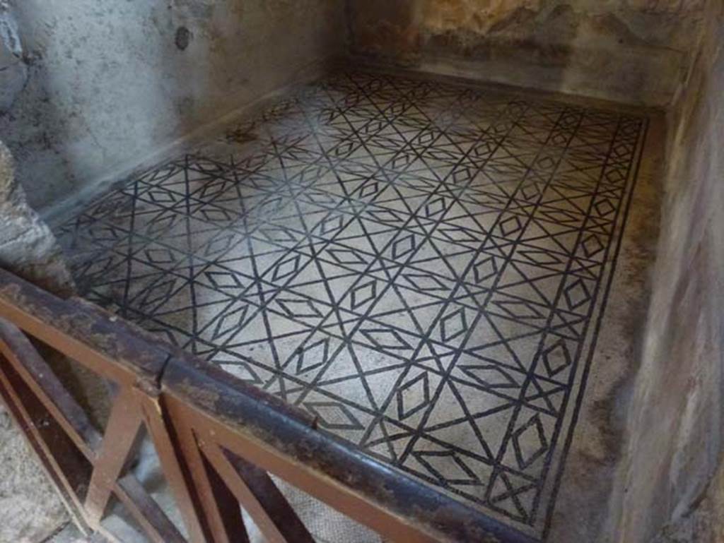 III.11 Herculaneum. October 2012. Room 2, cubiculum flooring, seen from doorway in north-east corner of atrium.  Photo courtesy of Michael Binns.

