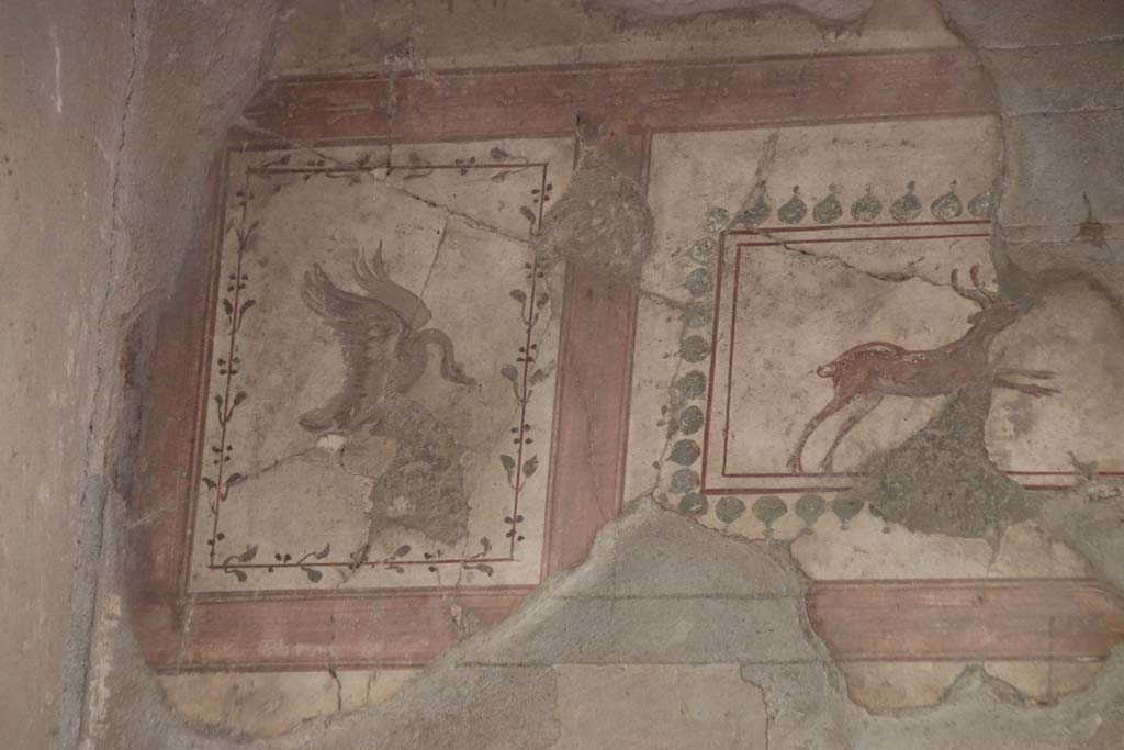 III.11 Herculaneum. October 2020. Room 4, detail of painted frieze at east end of upper south wall. Photo courtesy of Klaus Heese.