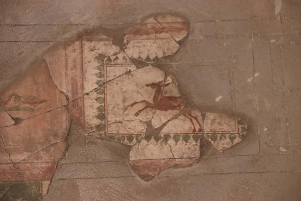 III.11 Herculaneum. September 2021. 
Room 4, detail of painted deer on panel of frieze at west end of upper south wall. Photo courtesy of Klaus Heese.
