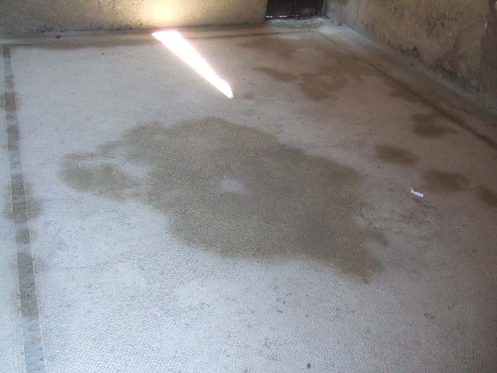 III.19/18/1, Herculaneum, May 2006. Room 3, mosaic floor in apodyterium of baths area.