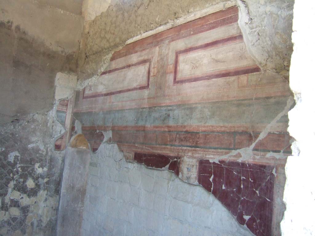 III.19/18/1, Herculaneum, May 2006. Room 4, east wall of tepidarium, with arched doorway to apodyterium in north-east corner.