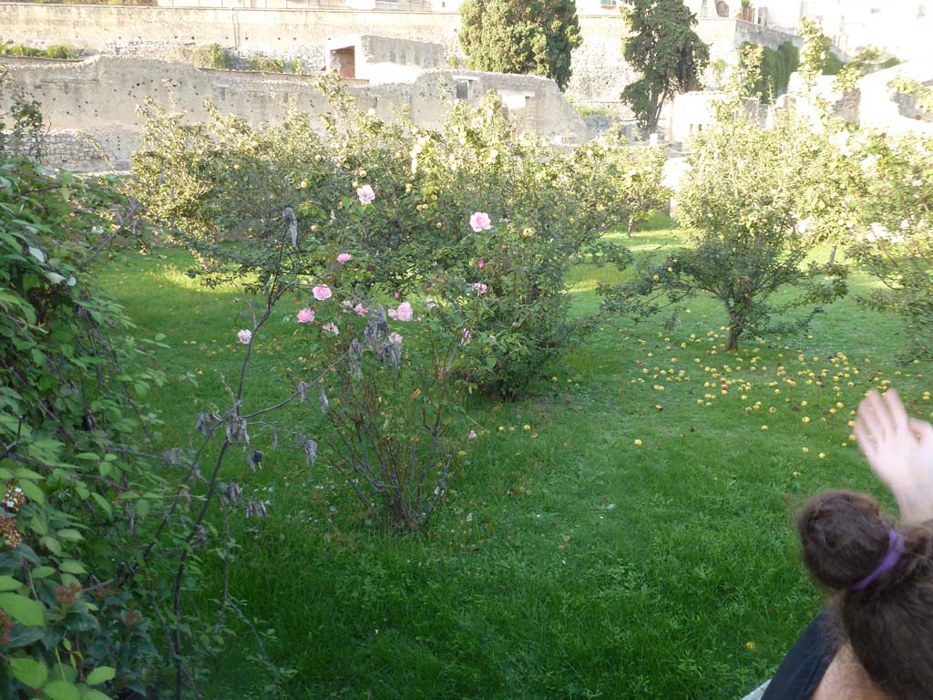 III.19/18/1, Herculaneum. October 2012. Peristyle 31, looking north-west. Photo courtesy of Michael Binns.