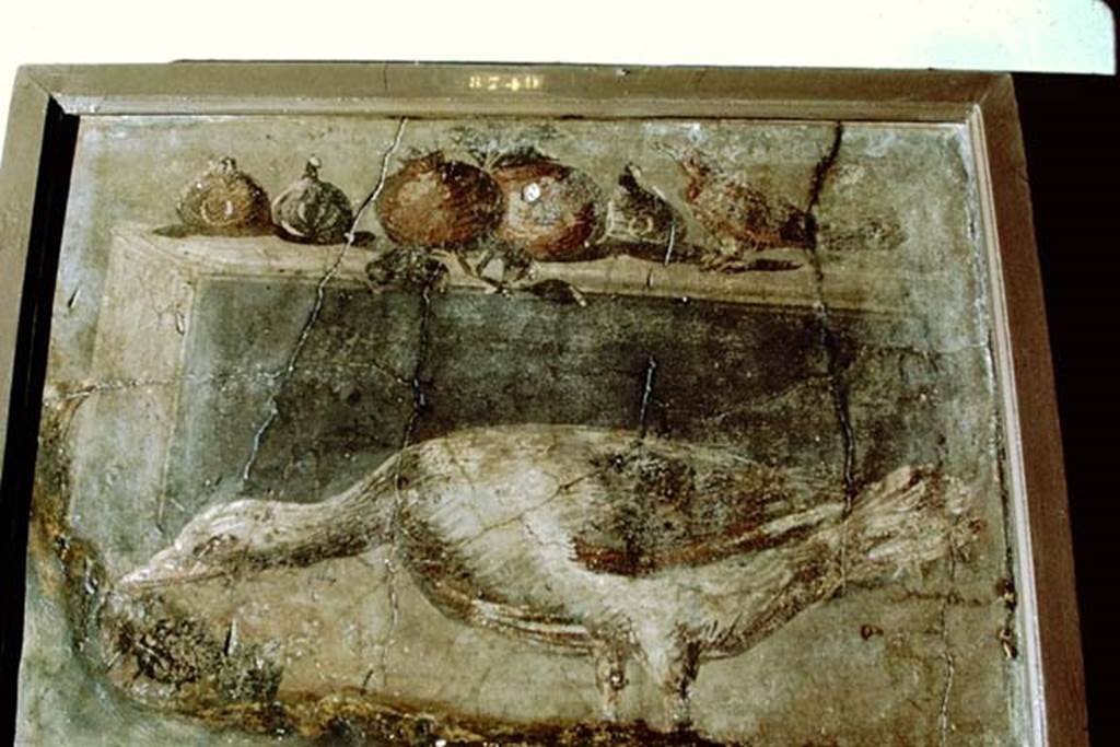 IV.21, Herculaneum. 1968. Wall painting, possibly found 31st July 1748, in ?Casa dei Cervi. Photo by Stanley A. Jashemski.
Source: The Wilhelmina and Stanley A. Jashemski archive in the University of Maryland Library, Special Collections (See collection page) and made available under the Creative Commons Attribution-Non-Commercial License v.4. See Licence and use details.
J68f0783
Now in Naples Archaeological Museum. Inventory number 8749.
