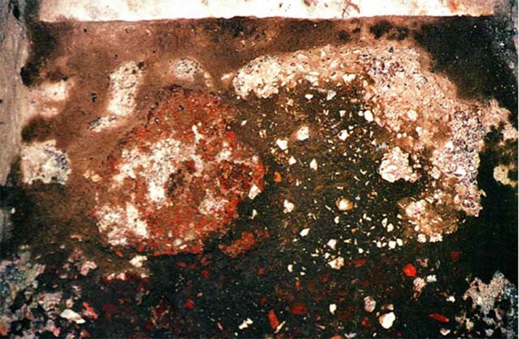 Herculaneum IV.21 atrio, clay based cement with mixed inserts.
Photo � Sposito, Francesca, Area archeologica, Casa dei Cervi (IV,21), atrio, cementizio a base fittile con inserti misti, in TESS � scheda 18387 (http://tess.beniculturali.unipd.it/web/scheda/?recid=18387), 2016