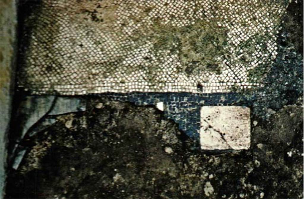 Herculaneum IV.21 diaeta 22, white mosaic with marble inserts.
Photo � Sposito, Francesca, Area archeologica, Casa dei Cervi (IV,21), diaeta 22, tessellato bianco e con inserti marmorei, in TESS � scheda 18420 (http://tess.beniculturali.unipd.it/web/scheda/?recid=18420), 2016
