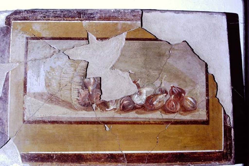 IV.21, Herculaneum. 1972. Still life. Photo by Stanley A. Jashemski. 
Source: The Wilhelmina and Stanley A. Jashemski archive in the University of Maryland Library, Special Collections (See collection page) and made available under the Creative Commons Attribution-Non-Commercial License v.4. See Licence and use details.
J72f0524 
