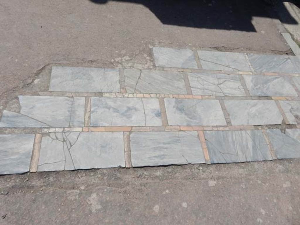 IV.21, Herculaneum. May 2018. Cryptoporticus 30, detail of flooring. Photo courtesy of Buzz Ferebee. 