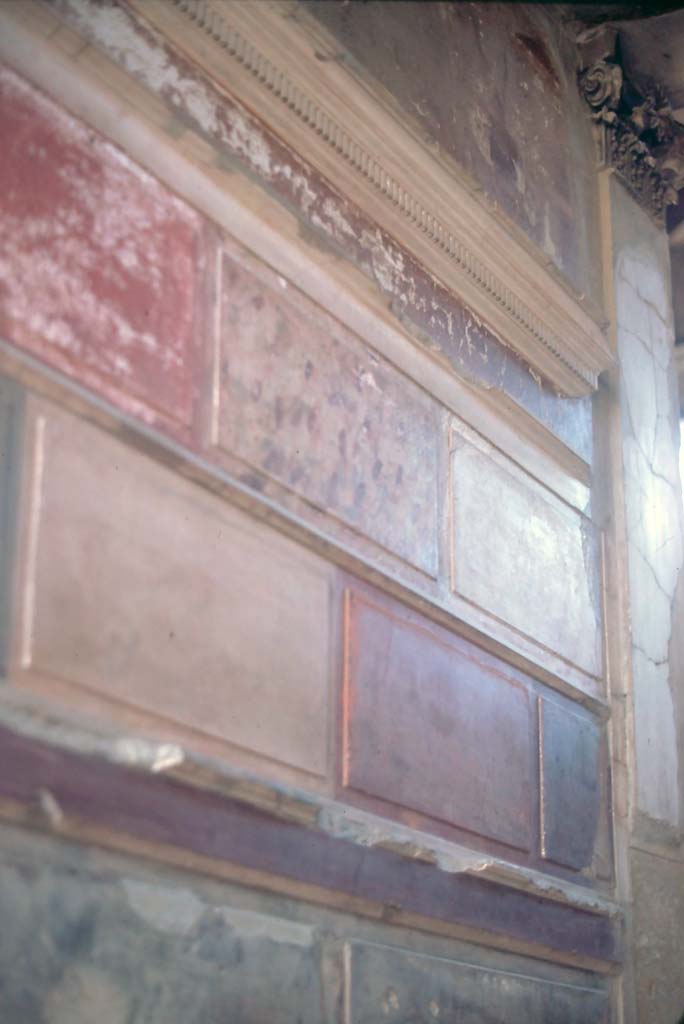 V.1, Herculaneum, 7th August 1976. Detail of north wall of entrance corridor.
Photo courtesy of Rick Bauer, from Dr George Fay’s slides collection.
