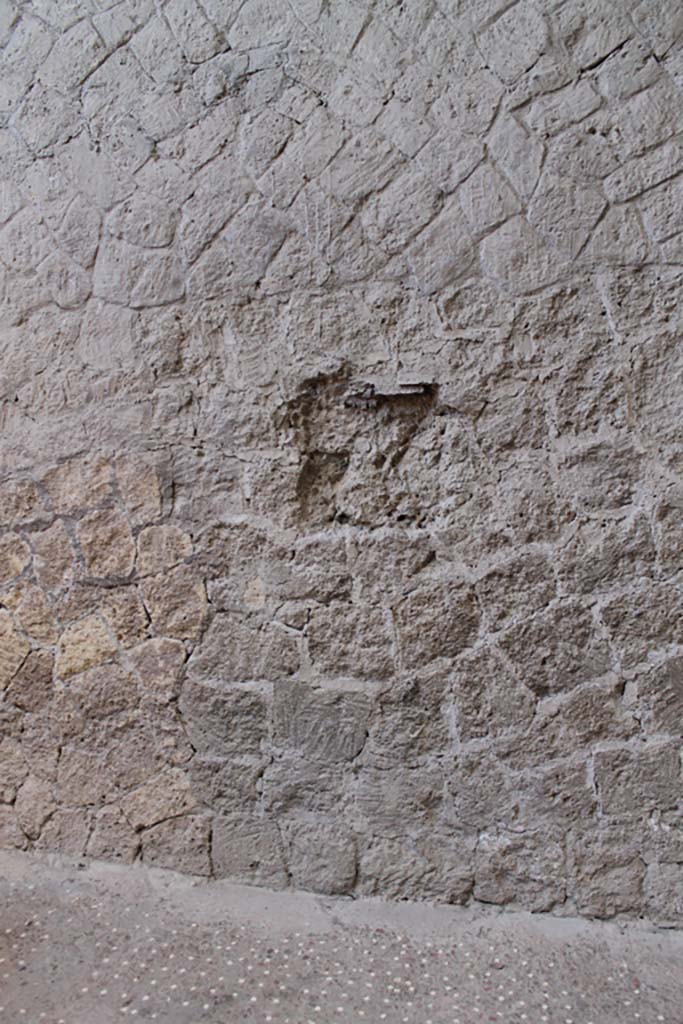V.1 Herculaneum. March 2014. South wall of atrium.
Foto Annette Haug, ERC Grant 681269 DÉCOR.
