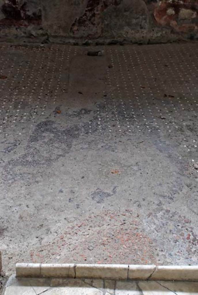 V.1, Herculaneum. November 2008. 
Looking east across atrium floor, from south-east side of impluvium. Photo courtesy of Nicolas Monteix.
