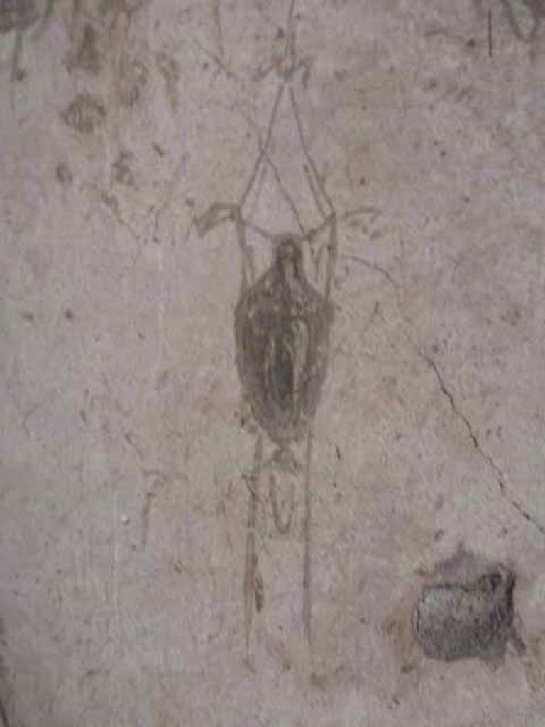 V.1 Herculaneum. May 2010. Room 4, detail of decoration from east wall.