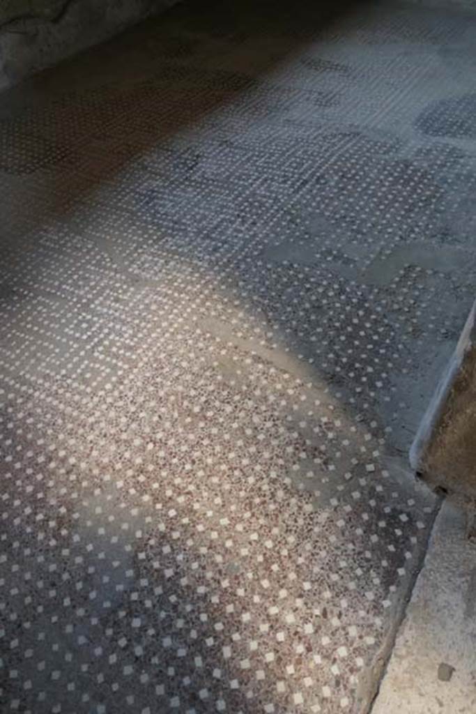 V.1, Herculaneum. June 2017. Room 2, looking west across flooring. Photo courtesy of Michael Binns.
