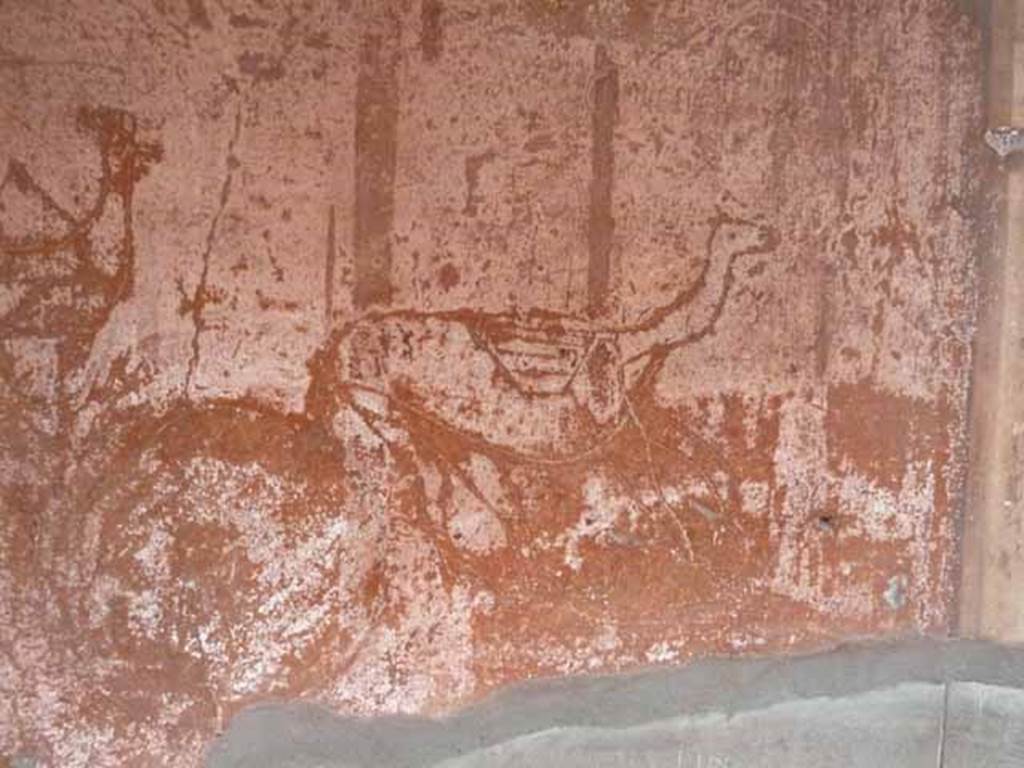 V.1 Herculaneum. May 2010. Room 2, graffiti from south wall. 