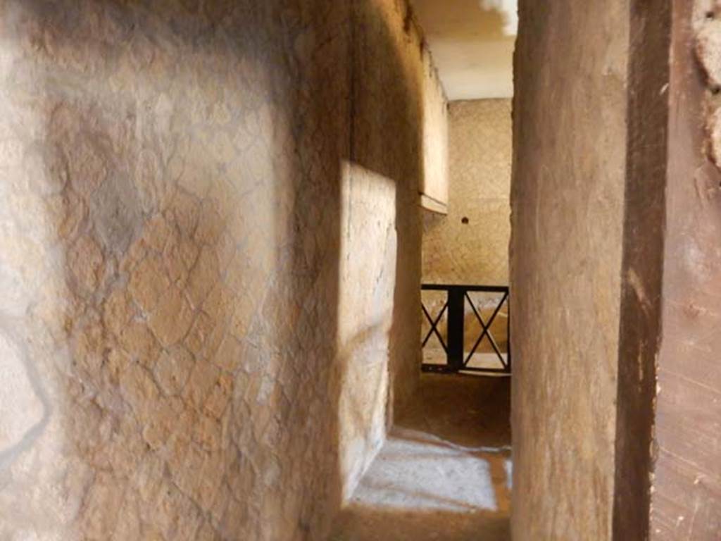 V.8 Herculaneum. May 2018. Looking south along corridor on south side of Room 1.
The reflected sunlight shining is from the doorway of Room 9, on right. Photo courtesy of Buzz Ferebee.
