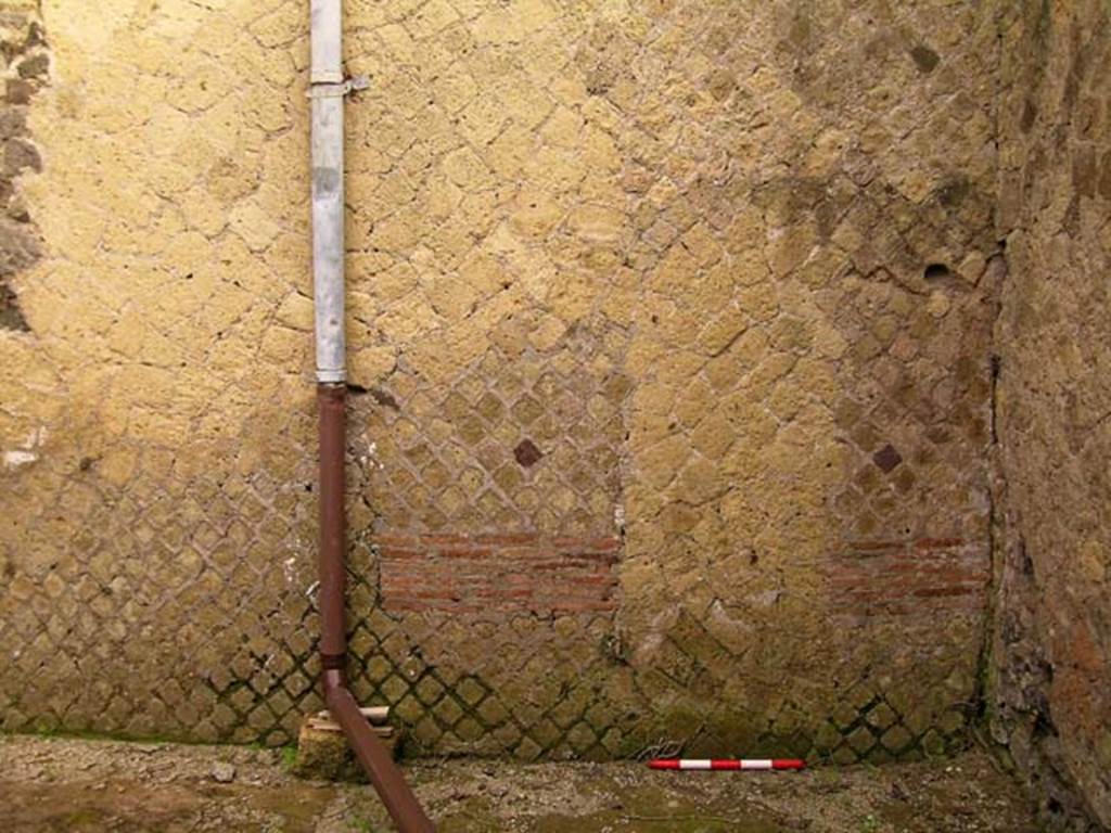 V.11, Herculaneum. May 2005. South end of east wall of rear room, on west side of tablinum.
Photo courtesy of Nicolas Monteix.

