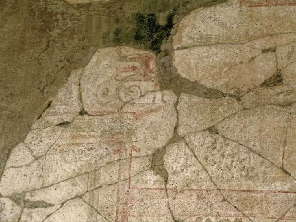 V. 11 Herculaneum. December 2004. Detail of decoration on south wall of first room at north end, on west side of atrium. 
Photo courtesy of Nicolas Monteix.
