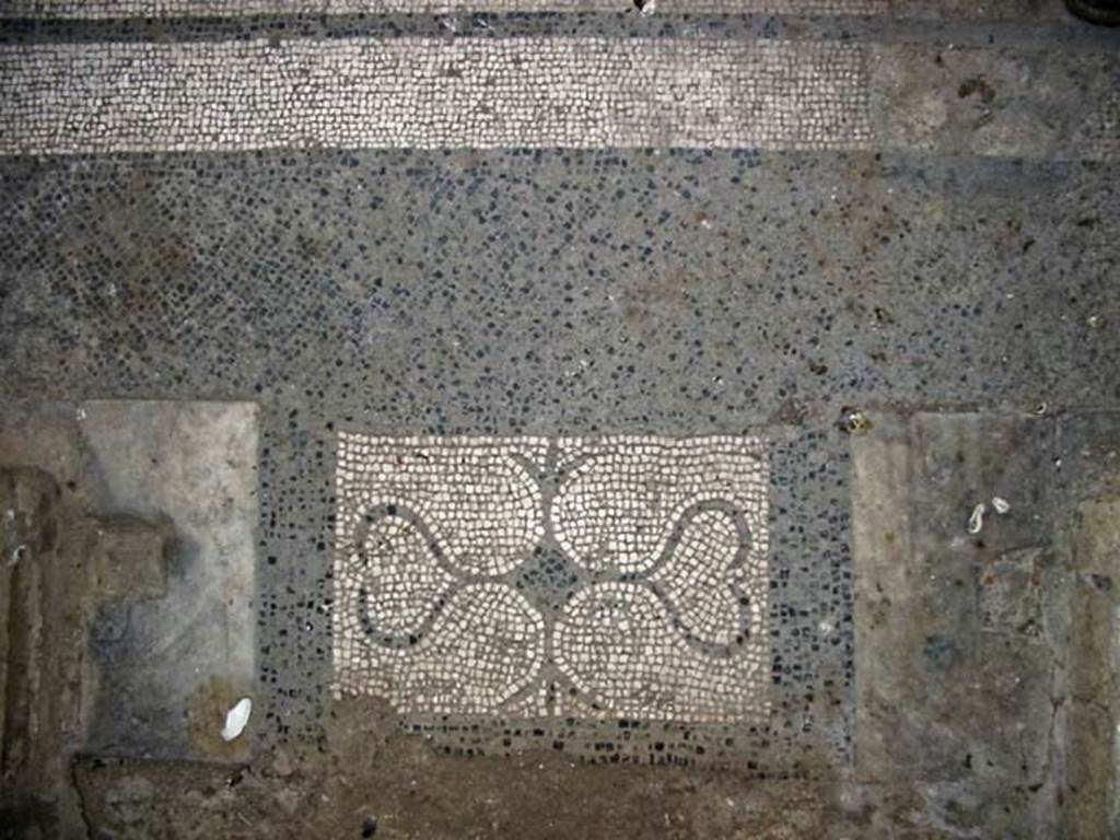 V.15/14, Herculaneum. May 2003. Threshold from room, connecting from V.14, towards north-west corner of atrium. Photo courtesy of Nicolas Monteix.
