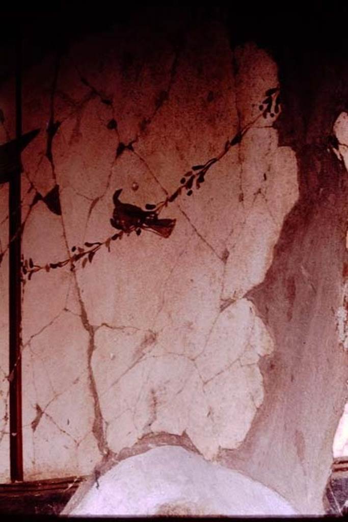 V.15 Herculaneum, House of Bicentenary, 1964. 
Painted wall decoration, as seen in the photo above, from the west wall of the corridor leading from the atrium to the north portico.  
Photo by Stanley A. Jashemski.
Source: The Wilhelmina and Stanley A. Jashemski archive in the University of Maryland Library, Special Collections (See collection page) and made available under the Creative Commons Attribution-Non-Commercial License v.4. See Licence and use details.
J64f1161

