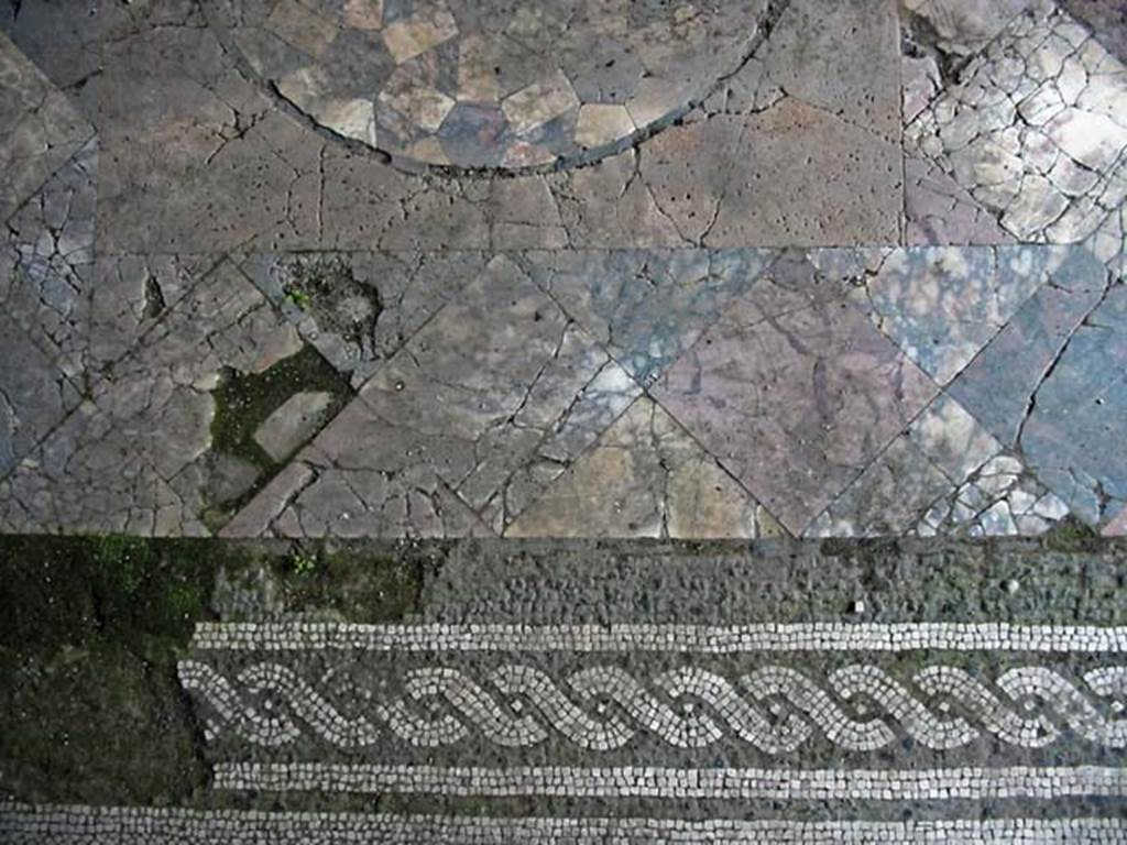 V.15, Herculaneum. May 2003. Tablinum, detail of mosaic flooring and opus sectile panel. Photo courtesy of Nicolas Monteix.
