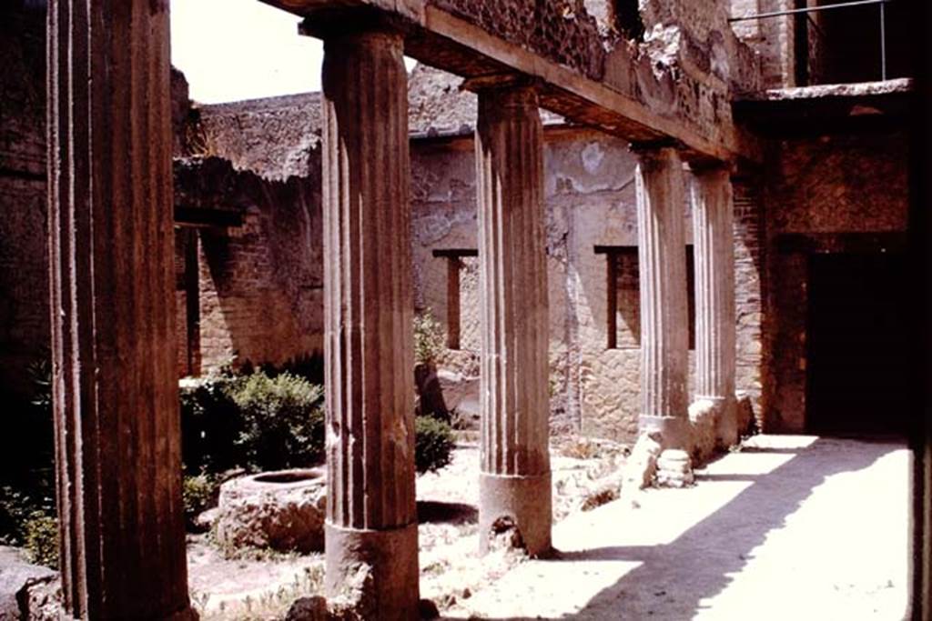 Ins. V.15 Herculaneum, House of Bicentenary, 1964. Looking west along the north portico, and doorway into the windowed portico. Photo by Stanley A. Jashemski.
Source: The Wilhelmina and Stanley A. Jashemski archive in the University of Maryland Library, Special Collections (See collection page) and made available under the Creative Commons Attribution-Non Commercial License v.4. See Licence and use details. J64f1159
This photo shows a portion of the upper floor, according to Deiss, the small window,  centre top right, was the area of the room with the so-called �Christian oratory�.
See Deiss, J.J. (1968). Herculaneum, a city returns to the sun. UK, The History Book Club, (photograph following on from page 64).

 
