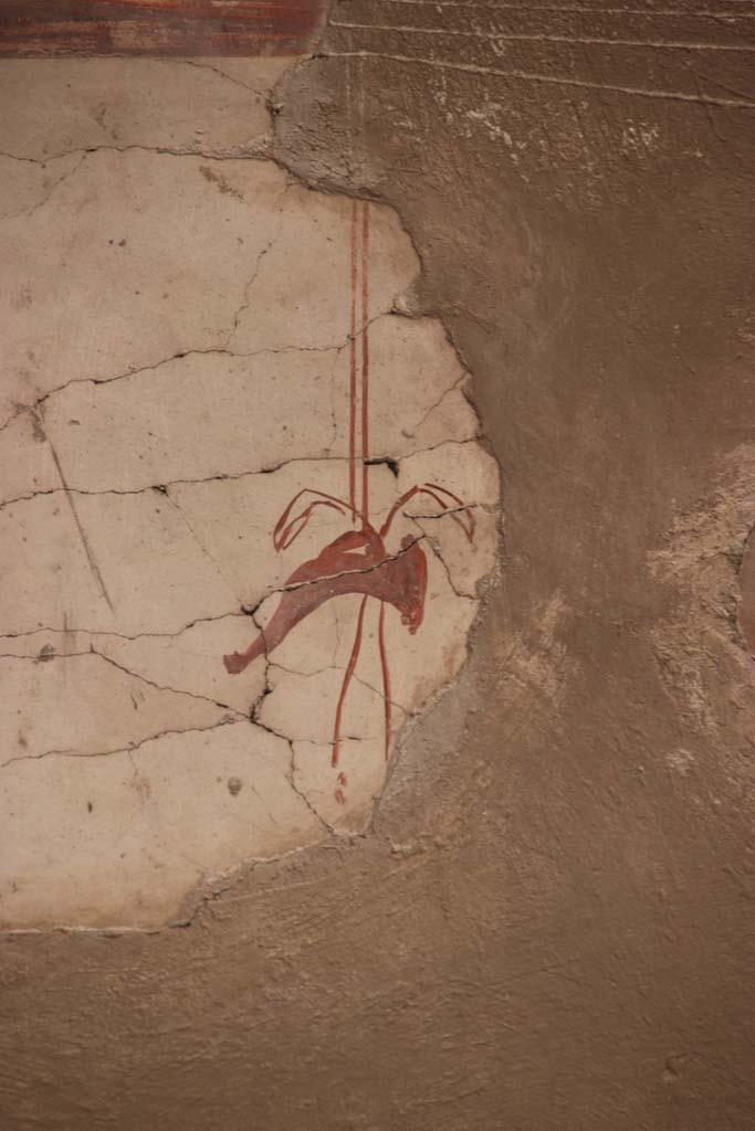 V.35 Herculaneum, September 2017. Ala 10, painted decoration from top of south wall.
Photo courtesy of Klaus Heese.
