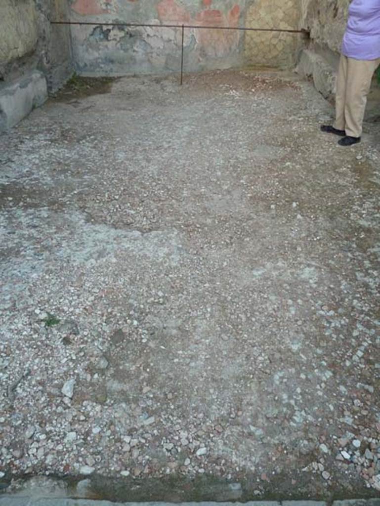 Ins. V 35, Herculaneum, September 2015. Triclinium 1, floor.