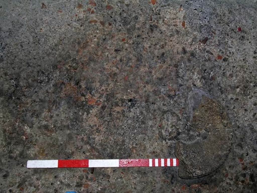 VI.12 Herculaneum. September 2004. Floor on west side of shop-room with circular stone lid or plate.
Photo courtesy of Nicolas Monteix.