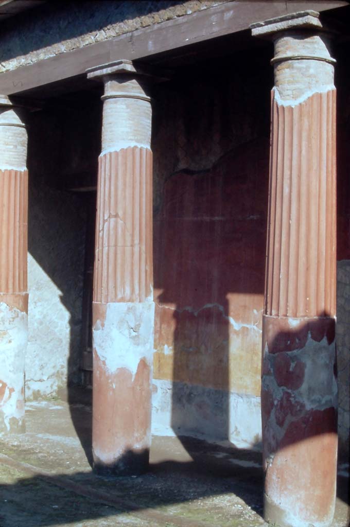 Ins. Or.I.2, Herculaneum 4th December 1971. Looking west along north side of atrium.
Photo courtesy of Rick Bauer, from Dr George Fay’s slides collection.
