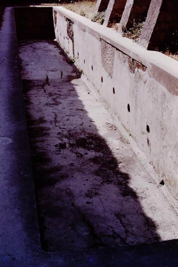 Ins. Or. II.4, Herculaneum. 1975. Detail of the rectangular basin, looking east.   
Photo by Stanley A. Jashemski.   
Source: The Wilhelmina and Stanley A. Jashemski archive in the University of Maryland Library, Special Collections (See collection page) and made available under the Creative Commons Attribution-Non Commercial License v.4. See Licence and use details. J75f0698

