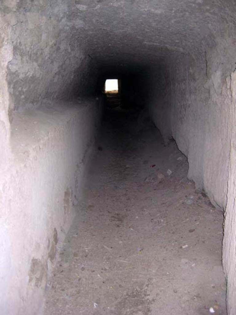 Ins. Orientalis II.4, Herculaneum, June 2011. Tunnels hewn out of the hardened alluvial debris. Photo courtesy of Sera Baker.
