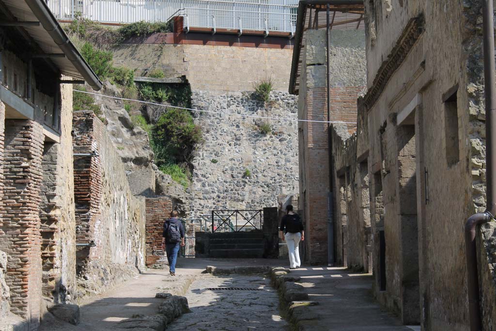 Cardo III, Herculaneum. March 2014. Looking north at northern end.
Foto Annette Haug, ERC Grant 681269 DÉCOR.
